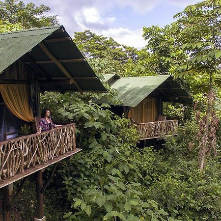 La Tigra Rainforest Lodge La Fortuna Eksteriør bilde