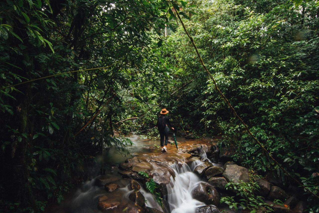 La Tigra Rainforest Lodge La Fortuna Eksteriør bilde