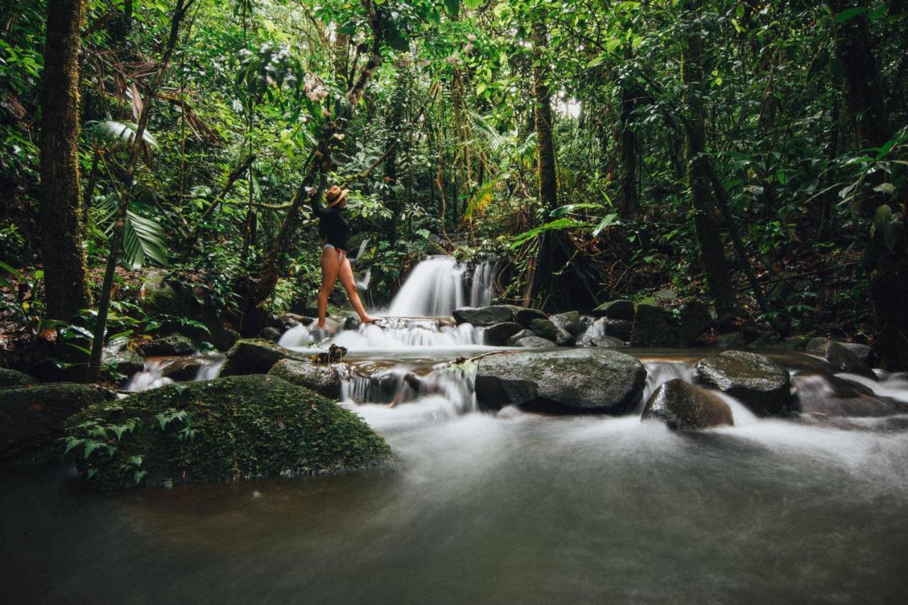 La Tigra Rainforest Lodge La Fortuna Eksteriør bilde