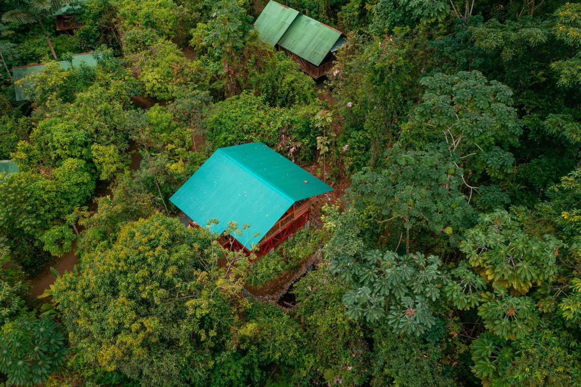 La Tigra Rainforest Lodge La Fortuna Eksteriør bilde