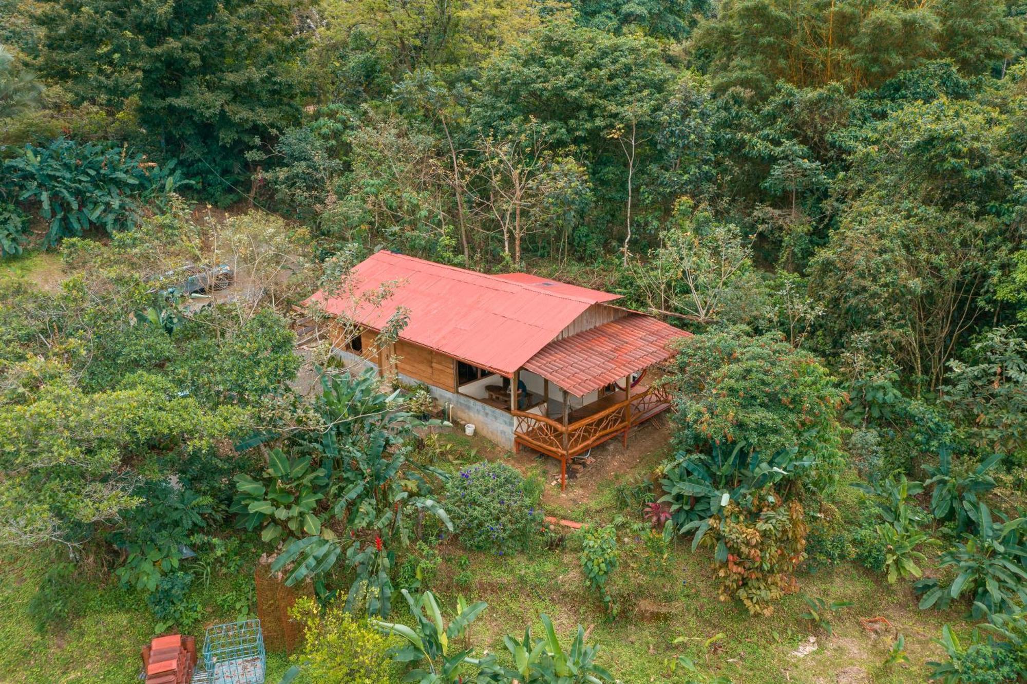 La Tigra Rainforest Lodge La Fortuna Eksteriør bilde