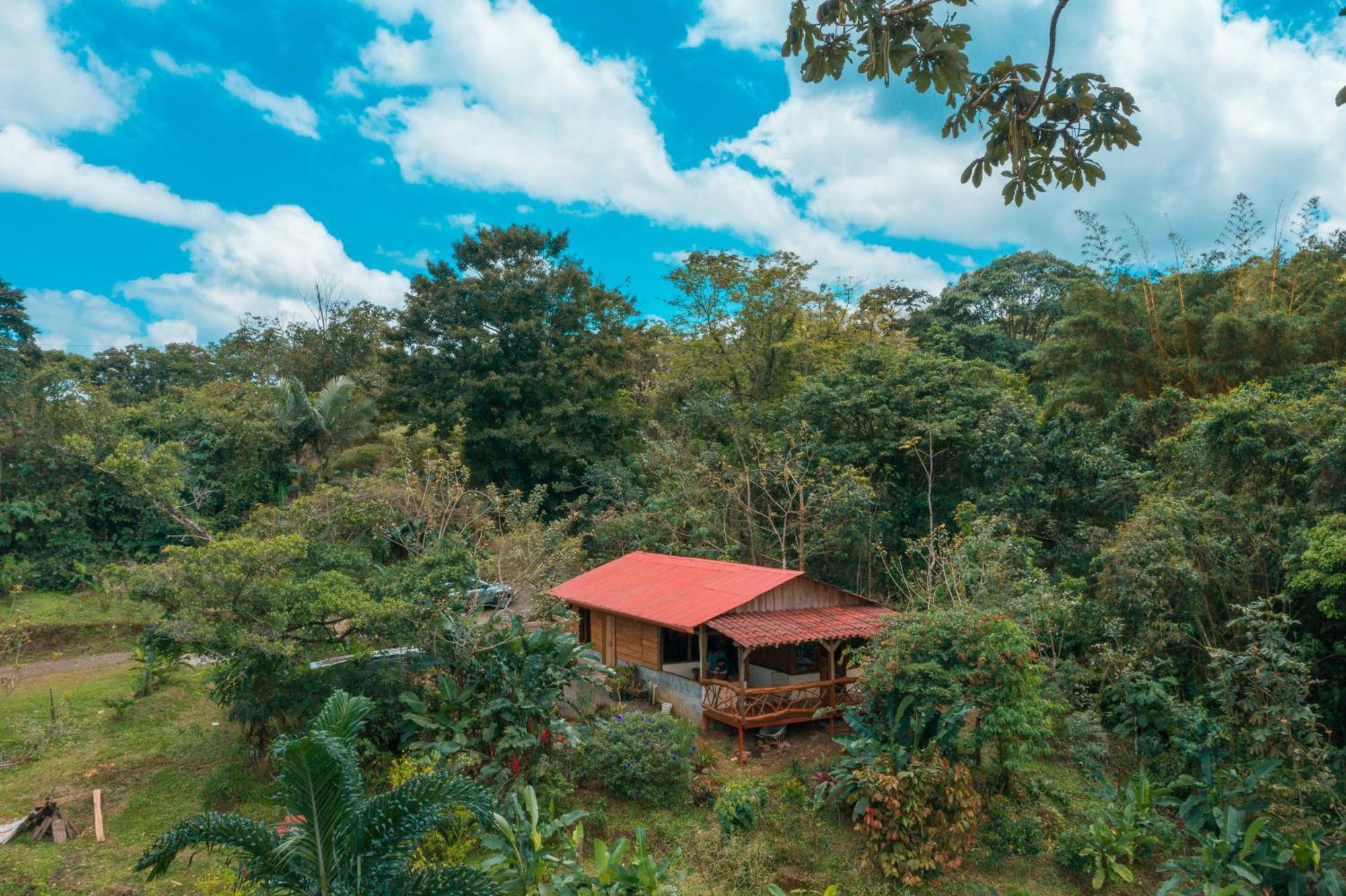 La Tigra Rainforest Lodge La Fortuna Eksteriør bilde