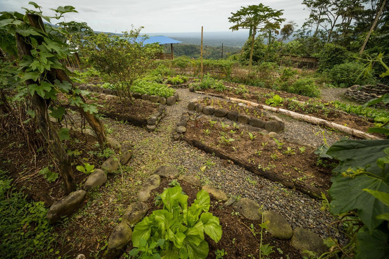 La Tigra Rainforest Lodge La Fortuna Eksteriør bilde