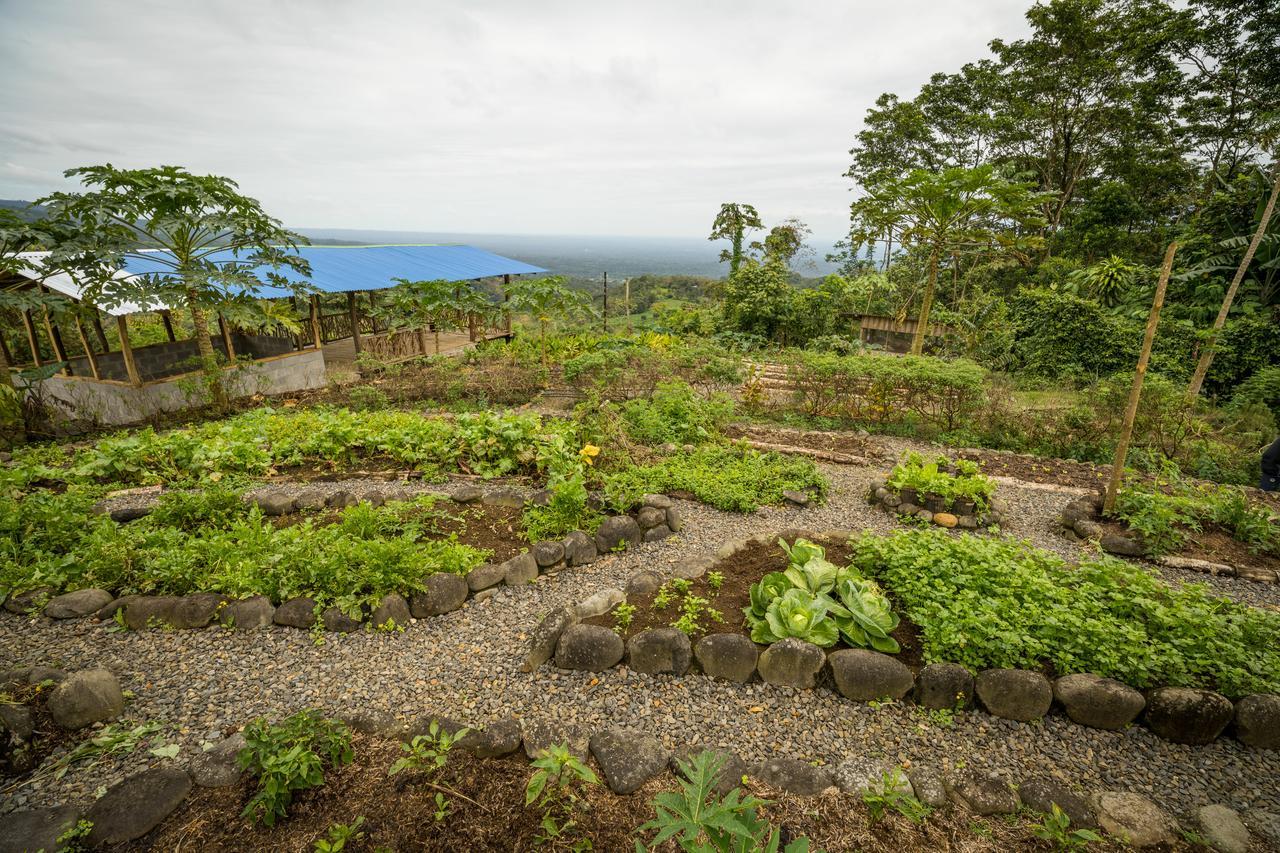 La Tigra Rainforest Lodge La Fortuna Eksteriør bilde