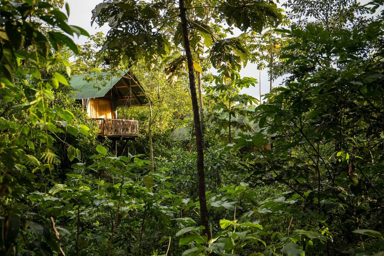 La Tigra Rainforest Lodge La Fortuna Eksteriør bilde