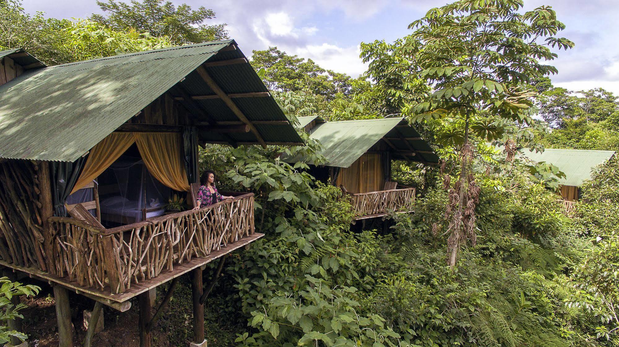 La Tigra Rainforest Lodge La Fortuna Eksteriør bilde