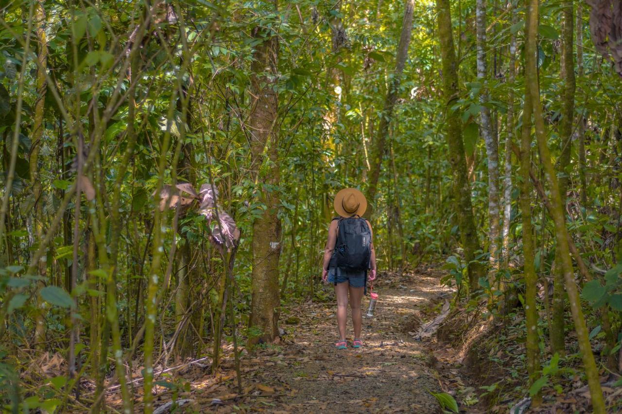 La Tigra Rainforest Lodge La Fortuna Eksteriør bilde