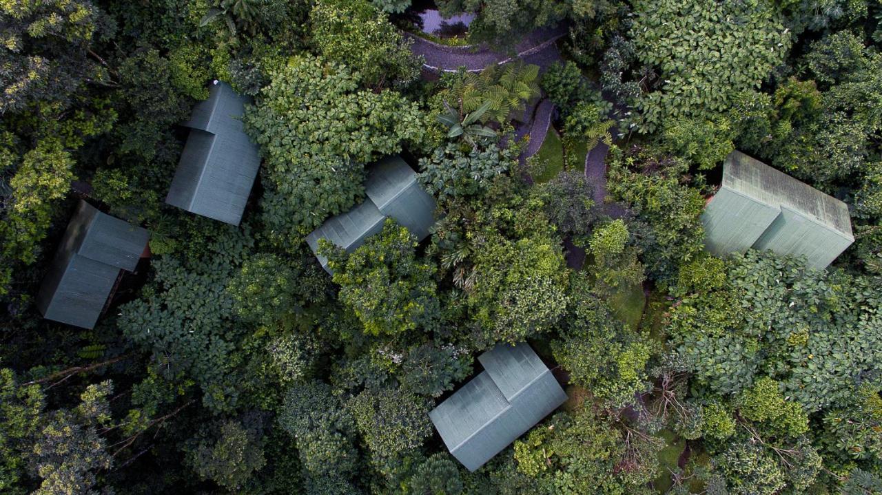 La Tigra Rainforest Lodge La Fortuna Eksteriør bilde